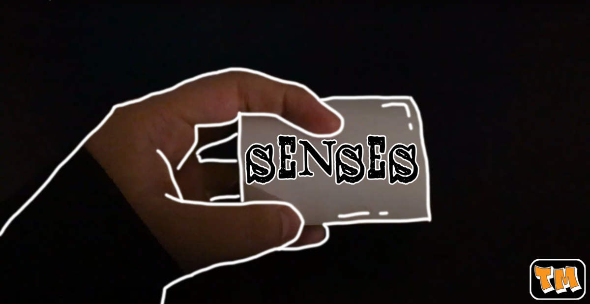 Senses