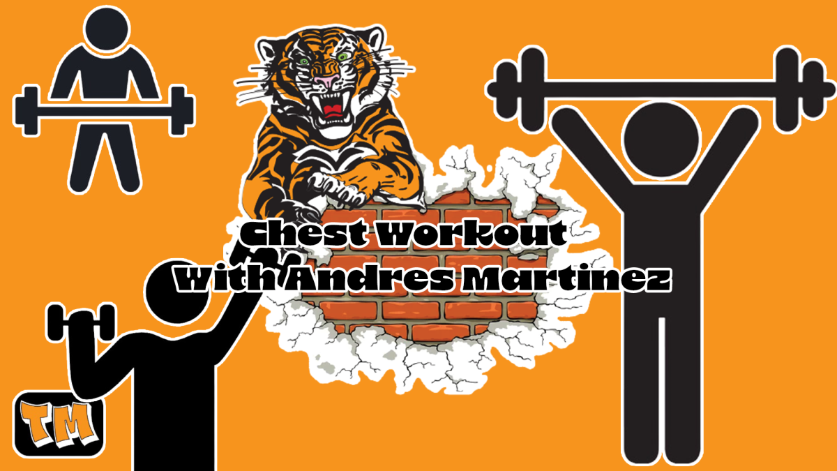 Chest Workouts With Andres Martinez